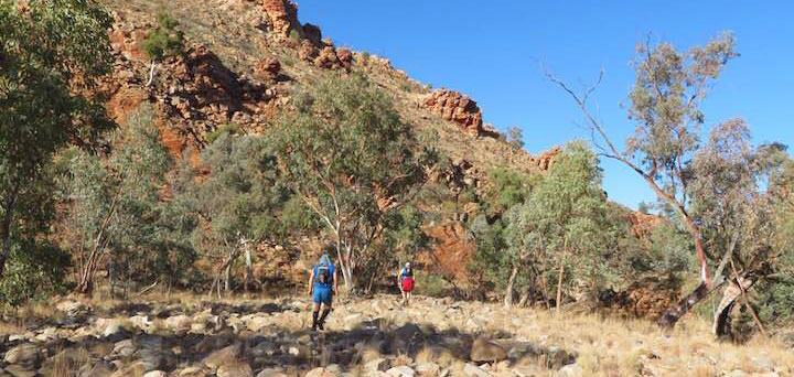 Run Larapinta